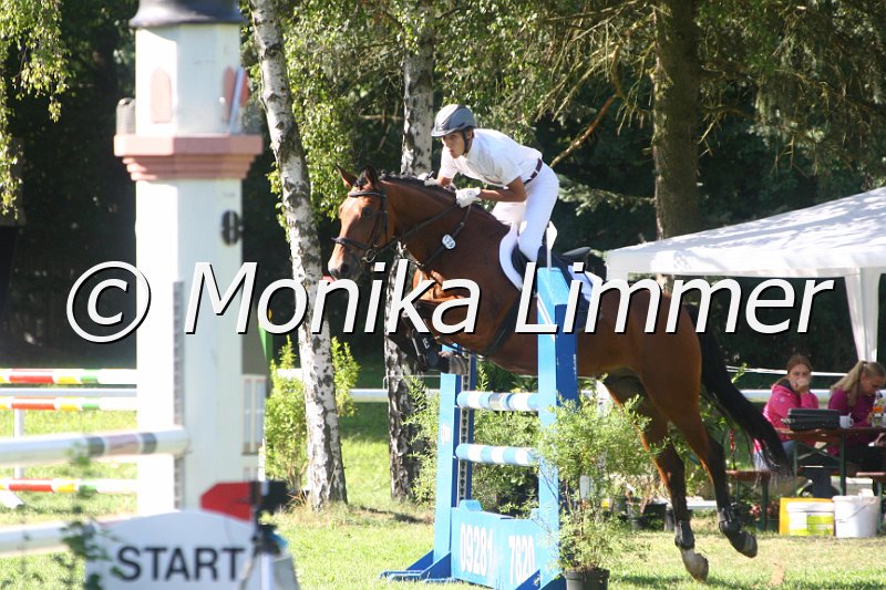 308M1221_Condor_Spring L.JPG